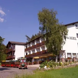 Hotel Igel Gbr